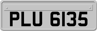 PLU6135