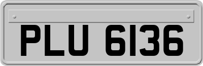 PLU6136