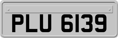 PLU6139