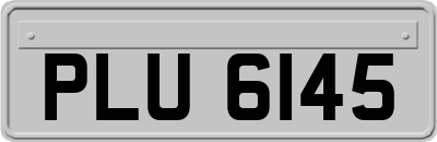 PLU6145