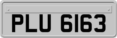 PLU6163