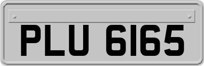 PLU6165