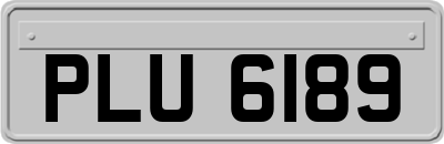 PLU6189