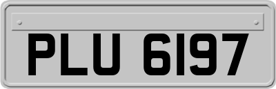 PLU6197