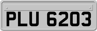 PLU6203