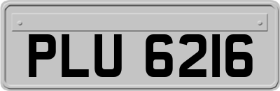 PLU6216