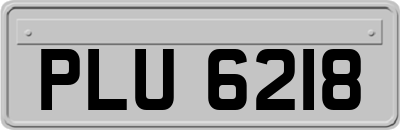 PLU6218