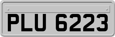 PLU6223