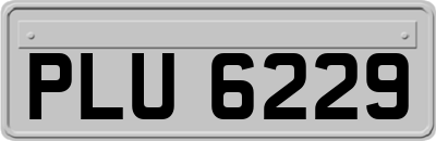 PLU6229