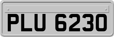 PLU6230