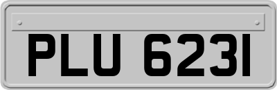 PLU6231