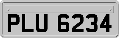 PLU6234