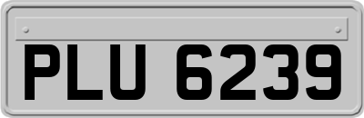 PLU6239