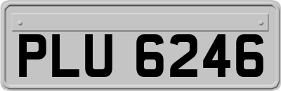 PLU6246