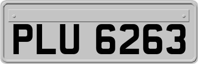 PLU6263