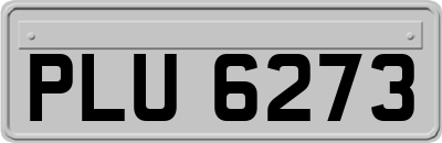 PLU6273