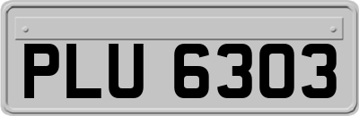 PLU6303