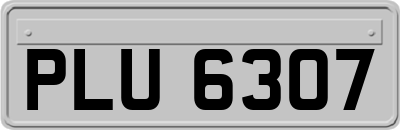 PLU6307