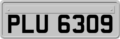 PLU6309