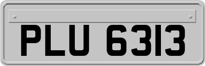 PLU6313