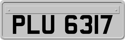 PLU6317