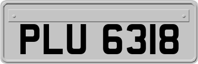 PLU6318