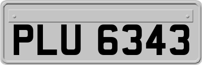 PLU6343