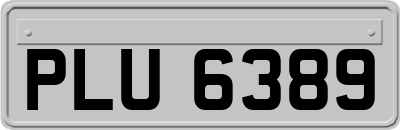 PLU6389