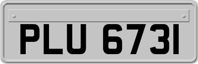 PLU6731