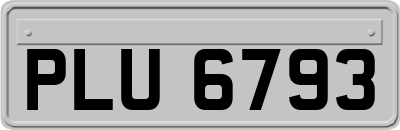 PLU6793