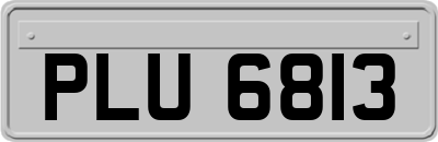 PLU6813