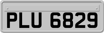 PLU6829