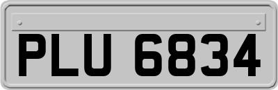 PLU6834