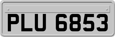 PLU6853