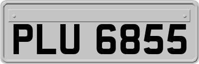 PLU6855