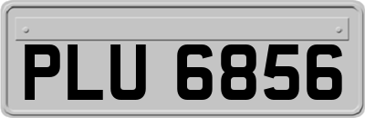 PLU6856