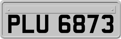 PLU6873