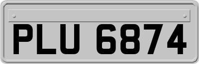 PLU6874