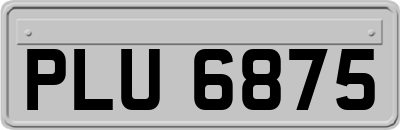 PLU6875