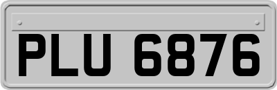 PLU6876