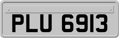 PLU6913