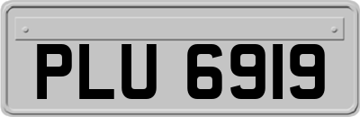 PLU6919