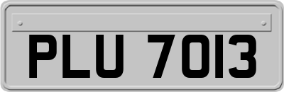 PLU7013