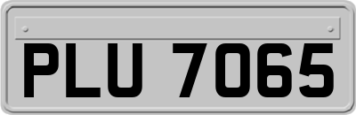 PLU7065