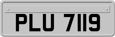 PLU7119