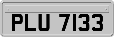 PLU7133