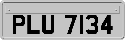 PLU7134