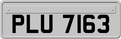 PLU7163