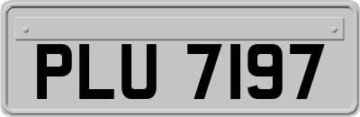 PLU7197