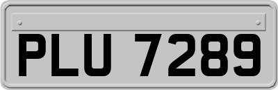 PLU7289